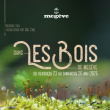 DANS LES BOIS DE MEGEVE